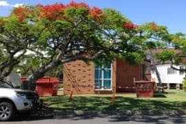 Skip Bins outside a residential home on the Sunshine Coast